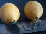Старые ёлочные игрушки СССР Лимоны вата, фото №6