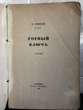 Забытый поэт. М. Лозинский. Горный ключ. Первая книга поэта, фото №2