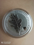 1-а в серії Лист Дубу 2019 Germania Mint 1 унція срібла, фото №4