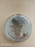 1-а в серії Лист Дубу 2019 Germania Mint 1 унція срібла, фото №6