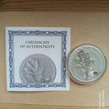 1-а в серії Лист Дубу 2019 Germania Mint 1 унція срібла, фото №10