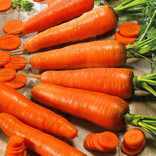 Насіння морква Корал 15 гр 200049, фото №3
