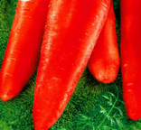 Насіння морква Червоний Велетень 15 гр 200053, фото №3