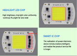 Мощный 2в1 без драйвер 220v LED COB светодиод прожектор лампа 50W 220в 50вт, фото №6