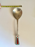 Столовая серебряная ложка с эмалью, фото №5