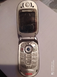 Motorola, numer zdjęcia 3
