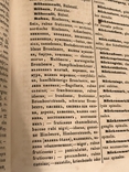 Терминологический медицинский словарь. 1864 год, фото №10