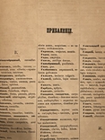 Терминологический медицинский словарь. 1864 год, фото №11