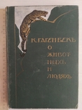 К.Гагенбек О животных и людях Прижизненное издание.Изд.В.М.Саблина Москва,1912, фото №2