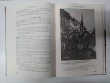 Пілігрими Великої війни. Одіссея бельгійського бронедивізіону в 1915-1918 роках, photo number 13