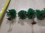 5 деревьев к жд панораме рико №27, фото №3