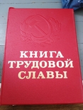Книга трудовой слави, фото №3