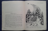 Хорпуштак. По норме Хайяма (библ. крокодила №29-1967г.), фото №9