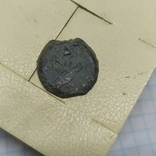 Монета Иудея, прута, время Клавдия. (1-13.2), фото №6