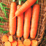 Насіння морква Без Серцевини 15 г 200050, фото №3