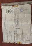 Паспорт Харьковской губернии,г. Ахтырка(бланк 1914г.), фото №9
