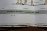 Плакаты школьные. физкультура. 16 штук. СССР. на Украинском, фото №4