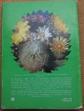 Комплект листівок ссср Кактуси.24 шт.1984 р., фото №6