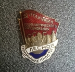 Знак СССР. Отличник лесной промышленности, #25499, фото №3