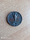 Памятная медаль итало-австрийской войны 1915-1918, фото №3