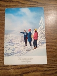 Лыжницы, фото №2
