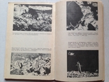 Подводные границы. Соул.Гидрометеоиздат, 1973., фото №6