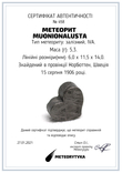 Залізній метеорит Muonionalusta, форма серця, 5,3 грам, сертифікат автентичності, фото №3