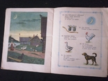 1958г.Подумай-ответишь.Загадки.Рис.А.Васина и Б.Булгакова.Т.500 000экз.ф-т.22х27.3см., фото №5