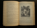 Книга автомобиль Жигули Ваз-2101,2102,2103. 1974 год., фото №8