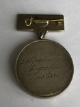 Знак Заслуженый Мастер Латвийской ССР, фото №4