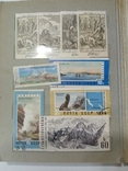 Коллекция марок, альбом 220 шт+, фото №7