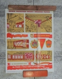 Большой плакат СССР 1980 года. № 19 Г, фото №2