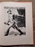 Украинский Советский плакат Всего 1765 экз, фото №9