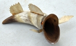 Попільничка - риба з рогу бика, фото №4