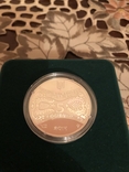 Монета Год Коня., фото №4