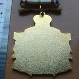 Юбилейный нагрудный знак Ордена Буйволов, фото №8