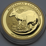 100 долларов 2021 г. Австралия (31,1 г. 999,9) Кенгуру, фото №6
