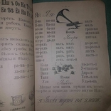 Азбука-сеятель 1915. гонимая Клавдия Лукашевич, фото №3