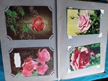 Альбом с открытками "Цветы" времен СССР, фото №5