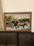Картина с гобилена лошади 78см на56см, фото №3