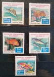 1982, Мадагаскар, рыбы, серия с блоком, фото №2
