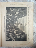 "Петроградский голос". Мирные переговоры в Бресте. 1918, фото №6