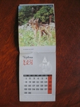 1981 Сувенірний календар-щомісячник, фото №10
