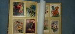 Альбом с открытками Цветы, 1940-50-х годов ХХ в., фото №8