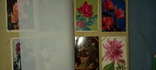 Альбом с открытками Цветы, 1940-50-х годов ХХ в., фото №11