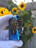 Zippo Amazon Angel Blue, фото №3