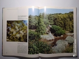Фотоальбом Ботанические сады СССР 1984 р., фото №8
