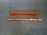 Флейта из Швейцарии Чехол Ёрш для чистки, фото №7