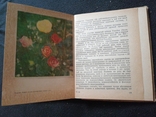 1977г.Садоводам.Виноградарям.Цветоводам.196стр.Т.100 000.Худ.Б.Н.Войтко.13.4х17.6см., фото №7