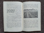Колхозный сад ( Сельхозгиз - 1956 год)., фото №8